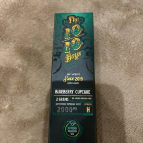 1010boys 2g Blueberry Cupcake