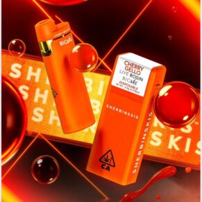 SHERBINSKIS Bicski 0.5g Live Rosin